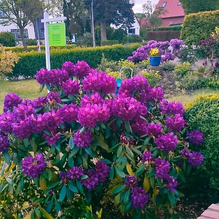 Im Schoenen Holsteiner Auenland 公寓 Brande-Hornerkirchen